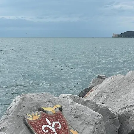 Trionfo Your In Business And アパート