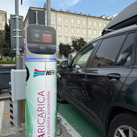 Trionfo Your In Business And Terst