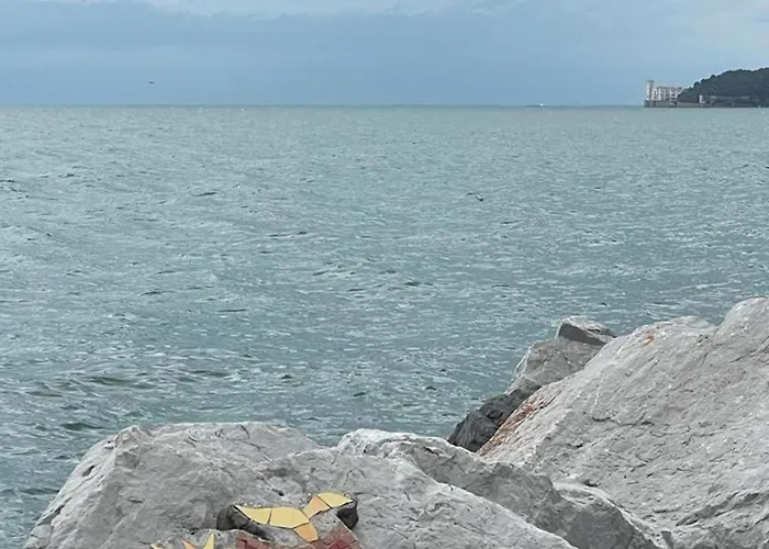 Trionfo Your In Business And Apartment